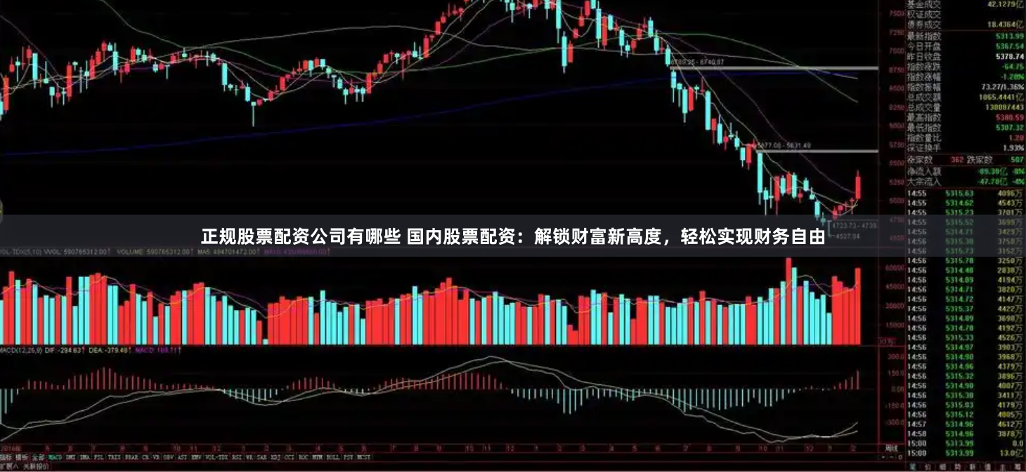 正规股票配资公司有哪些 国内股票配资:解锁财富新高度,轻松实现财务自由